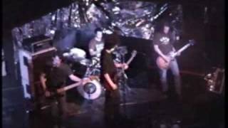 TWISTED ROOTS - Shoulders [LIVE]