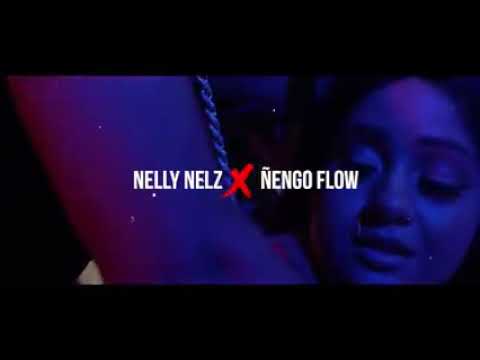 Nelly nelz ft Ñengo flow sí las paredes hablarán 🎵😎🎶