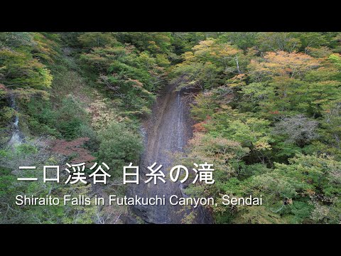[4K] Shiraito falls in Futakuchi Canyon Autumn Leaves 2024 / 白糸の滝 二口林道 仙台 宮城