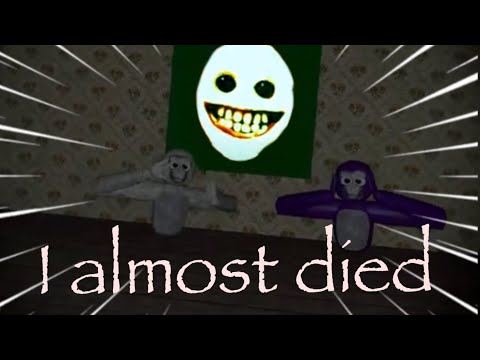 Fun Monkey horror will be the death of me.