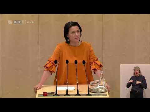 Nationalratssitzung vom 24.04.2019 Frauenvolksbegehren