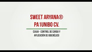 Sweet Aryana® PA1UNIBO cv. - Cuaja, Control de Carga y Aplicación de Giberélico