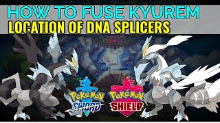 How to Fuse Legendaries: Kyurem Black and White in Pokemon Sword and Shield (DNA-SPLICERS LOCATION)