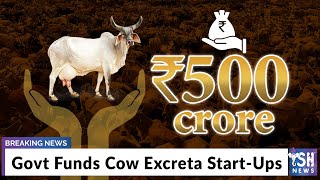 Govt Funds Cow Excreta Start-Ups