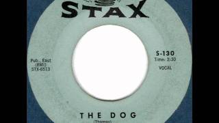 The Dog Music Video