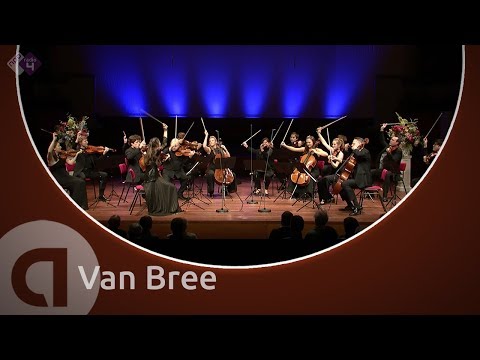 Van Bree: Allegro for 4 String Quartets - Janine Jansen - International Chamber Music Festival 2019