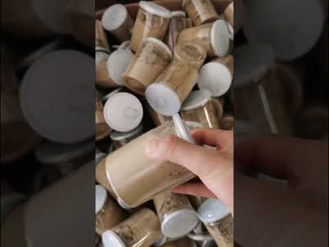 Saussurea Lappa Extract Powder