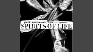 Spirits Of Life (Original Mix)