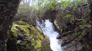 Cradle Mountain the MP4 Movie with music by Carbon Based Lifeforms - Vortex