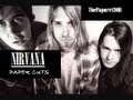 Nirvana - Paper cuts (Subtítulos y lyrics) 