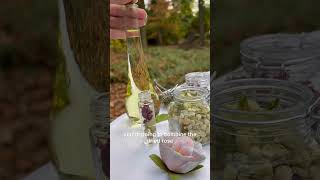 Download lagu Homemade Herbal Perfume Oil #diy mp3 Download lagu Homemade Herbal Perfume Oil #diy mp3