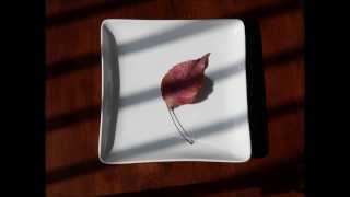 Ahmad Jamal - Autumn Leaves