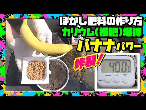 天然肥料としてバナナの皮を好む植物はどれですか?  庭園