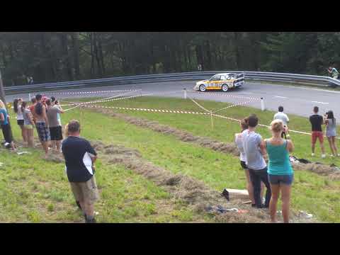 Audi Quattro S1, amazing sound, Niki Zlatkov ,GHD Lučine, Group B
