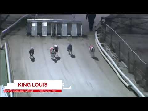 King Louis - BGBF British Bred Derby - Heat 4