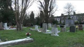 Whippersnappers - Say No to Violence