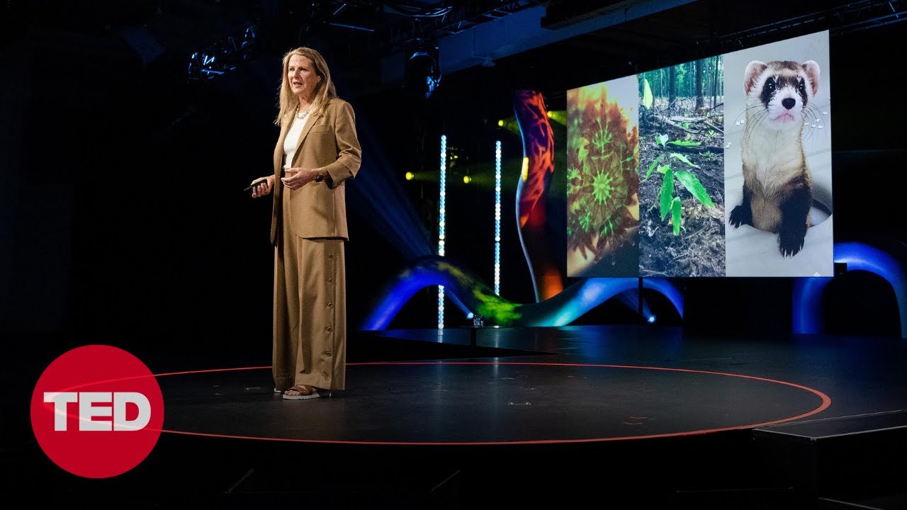 Ryan Phelan: The intended consequences of helping nature thrive | TED