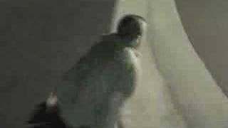 Minor Threat - Bottled Violence