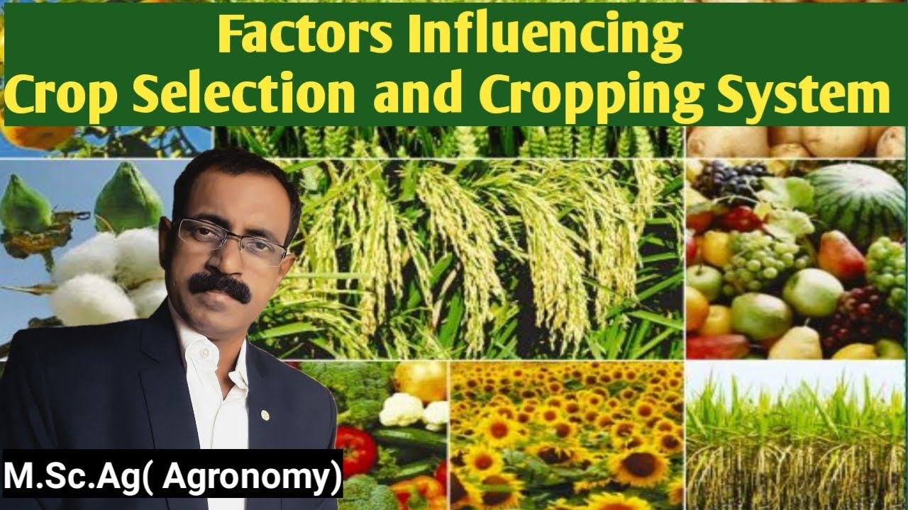 Factors Influencing Crop Selection & Cropping System