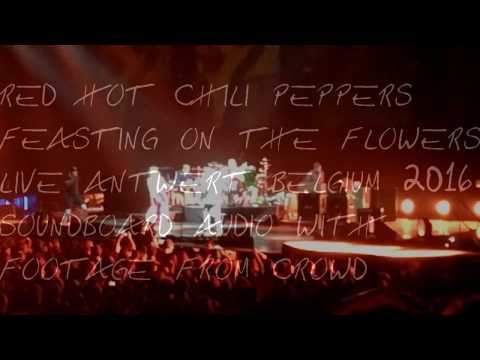 Red Hot Chili Peppers - Feasting on the Flowers live Antwerp 2016 Soundboard audio