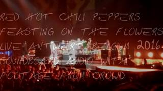Red Hot Chili Peppers - Feasting on the Flowers live Antwerp 2016 Soundboard audio