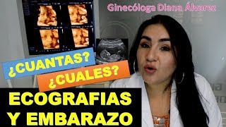 ECOGRAFIAS Y EMBARAZO POR GINECOLOGA DIANA ALVAREZ - Diana Michely Alvarez Muriel