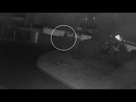 Burglary, Chestnut Grove, Newry - 4th October 2021