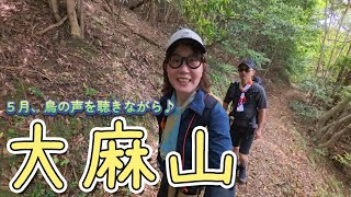 【登山】卯辰越、77番鉄塔まで足を延ばしてきました。鳥の声に癒されながら、快適ルートを歩いてきました♪