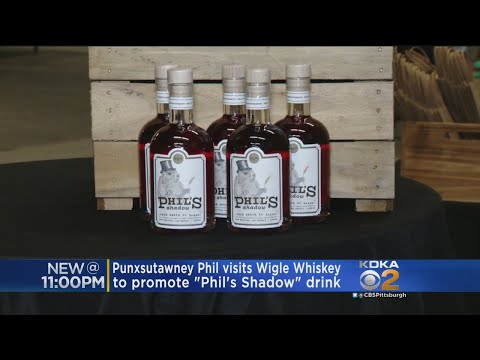 Punxsutawney Phil Visits Pittsburgh To Promote 'Phil's Shadow' Whiskey