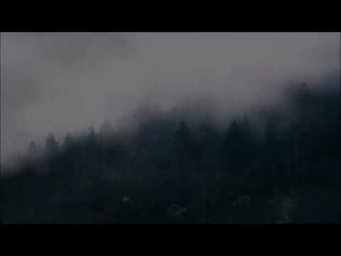 Thunder & Rain on a foggy mountain