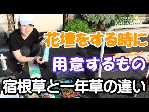 春に庭を色鮮やかにするには、多年草と一年生植物のうち、9月にどの花を植えるべきでしょうか?  庭園