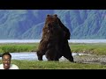 BMT Reacts To-Photographer captures intense battle between 2 HUGE ferocious bears#explore #reaction