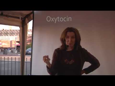 Your Brain on Drugs, UA Science Café Series, Katalin Gothard