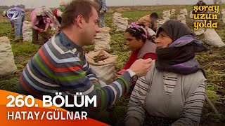 Bir Şoray Efsanesi 260. Bölüm - Hatay/Gülnar | Şoray Uzun Yolda