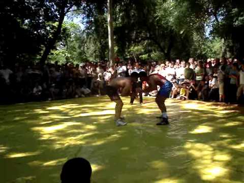Чадыр-Лунга день города вольная борьба