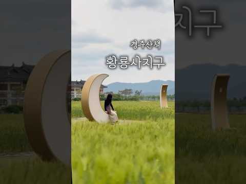 #경주산책 #황룡사지 #청보리밭