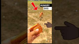 Feed and rescue street dogs today 🐕🍞 Stray dogs #dogfeeding #dog #rescue