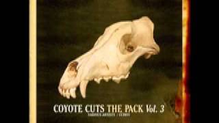Bryan Jones - Get A Feeling - Coyote Cuts