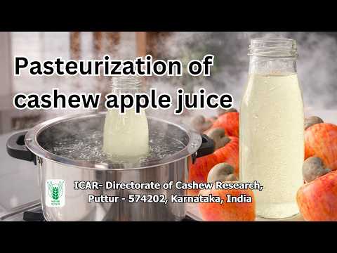 How to Preserve Cashew Apple Juice (Pasteurization Method)