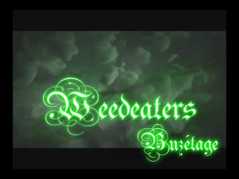 best smoking song - Buzetage - Halloweed