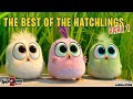 The Angry Birds Movie 2 Best Of The Hatchlings Part 1
