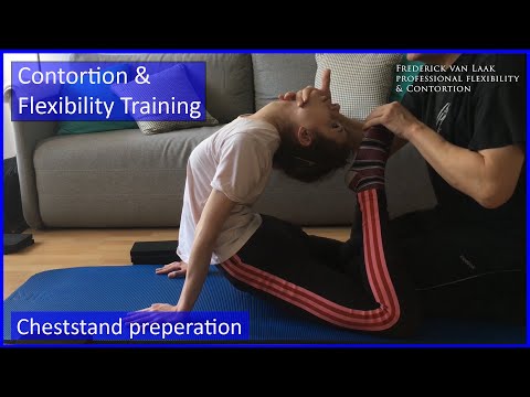 46 Flexyart Contortion Training:  Cheststand preperation - Also for Yoga, Pole, Ballet, Dance People
