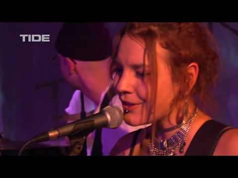TIDE Session | Melting Palms
