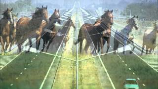 The BossHoss - I'm on a High