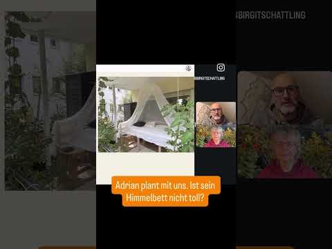 Bio-Balkon-Kongress: Heilkräuter & Essbares gratis online!