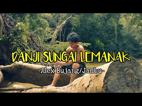 Danji Sungai Lemanak - HAILEY (parody video cover by ALEX BUJANG/JAMBU)