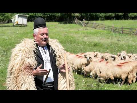 Nelu Paucean - De mic am crescut la stana