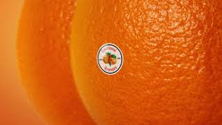 emotional oranges west coast love audio 