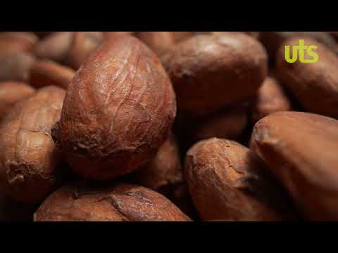 Energía que sabe a cacao