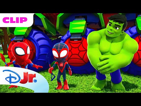 Hulk Becomes a Squirrel | Marvel's Spidey and his Amazing Friends | @disneyjr